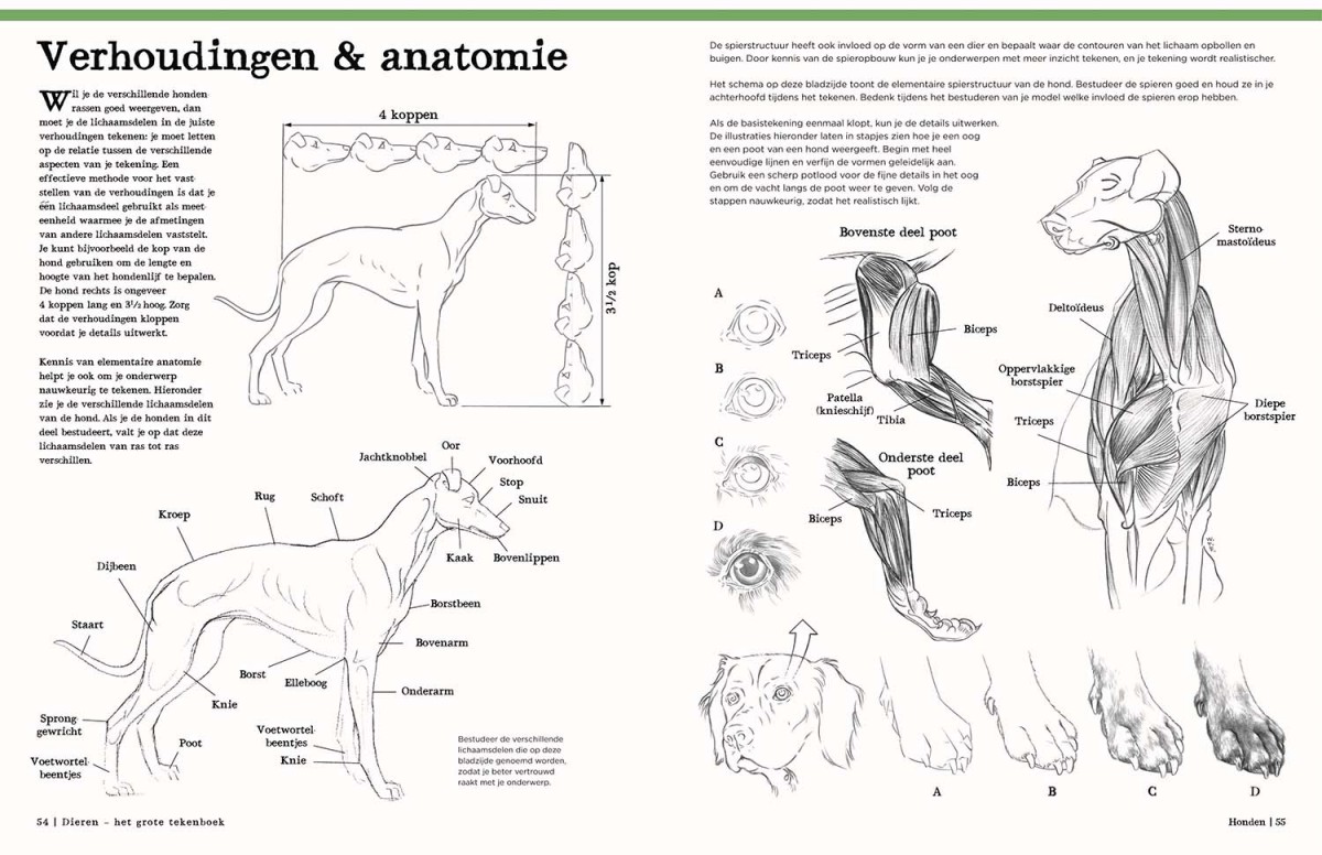 Dieren - Het Grote Tekenboek - Afbeelding 2