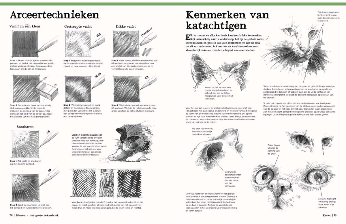 Dieren - Het Grote Tekenboek - Afbeelding 3