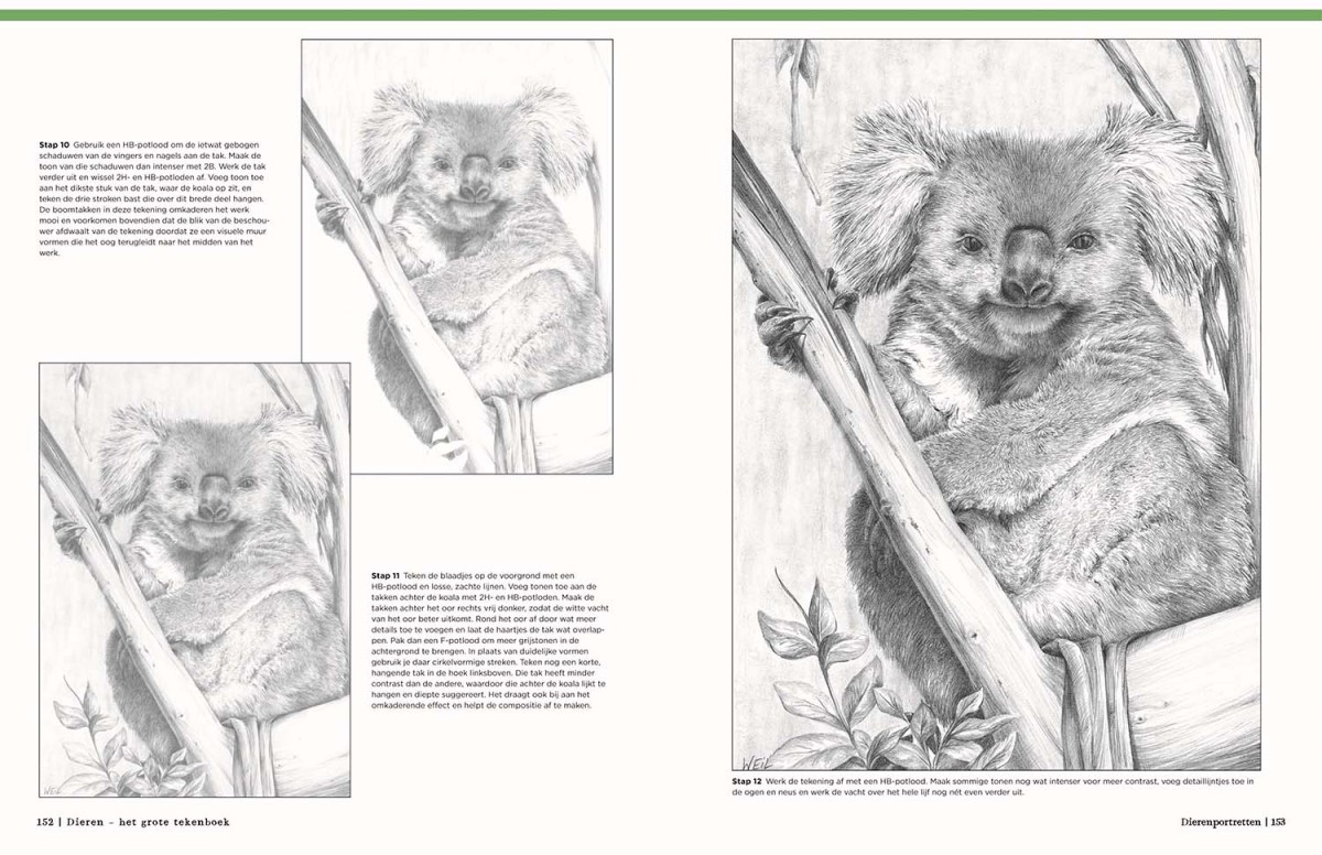 Dieren - Het Grote Tekenboek - Afbeelding 5