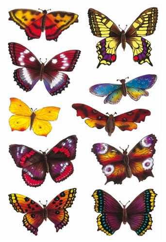 Etiketten/Stickers Vlinders Velletje 12x8,5cm