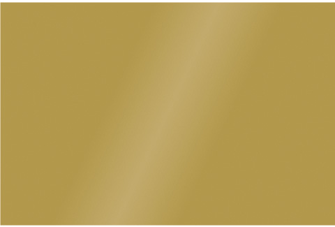Etalagekarton Folia 48x68cm 380gr pak a 10 vel goud