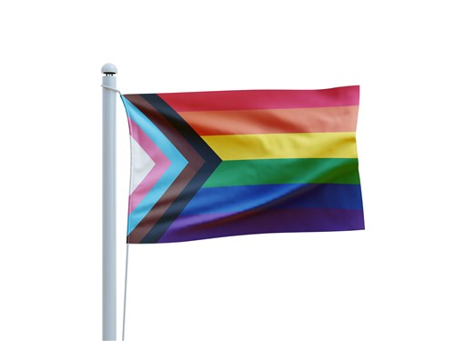 Progress Regenboog Vlag 90x150cm