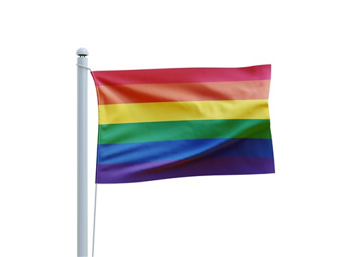 Regenboog Vlag 90x150cm