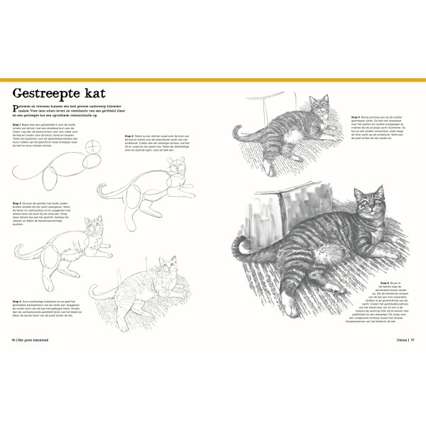 Het Grote Tekenboek  - Afbeelding 4