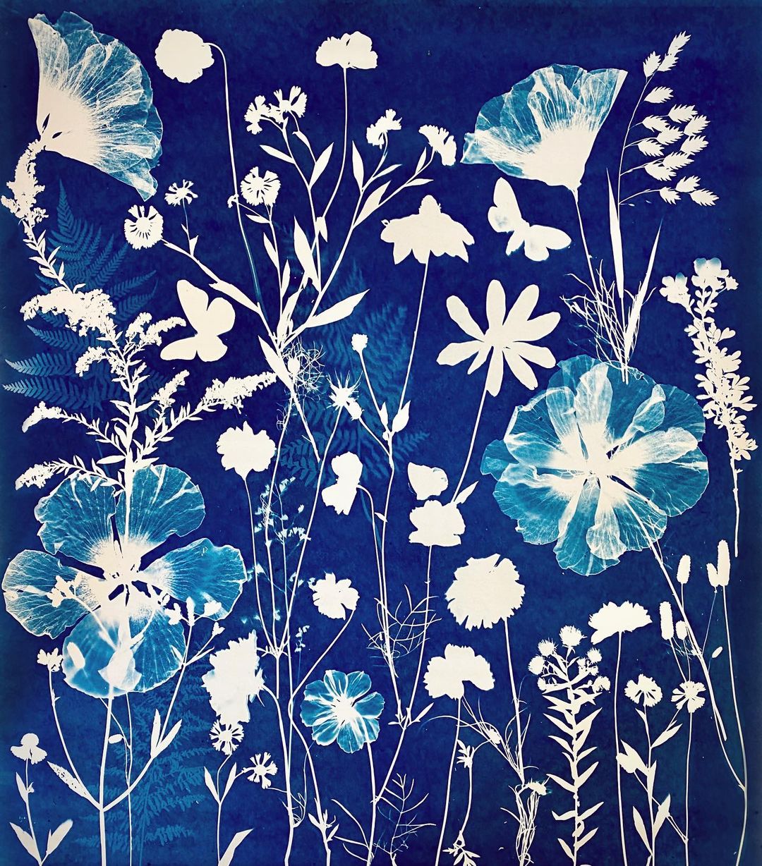 Clairefontaine Cyanotype Kit  - Afbeelding 4
