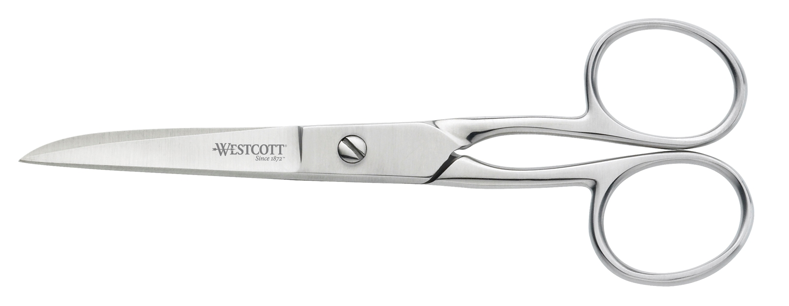 Schaar Premium 13cm RVS gesatineerd