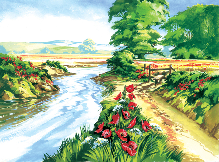 Schilderen Op Nummer - Klaprozenveld 40x32cm