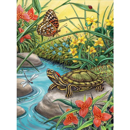 Schilderen Op Nummer - Roodoorschildpad 33x24cm