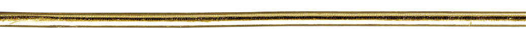 Was-sierstroken 20cm 4mm Goud 8st.
