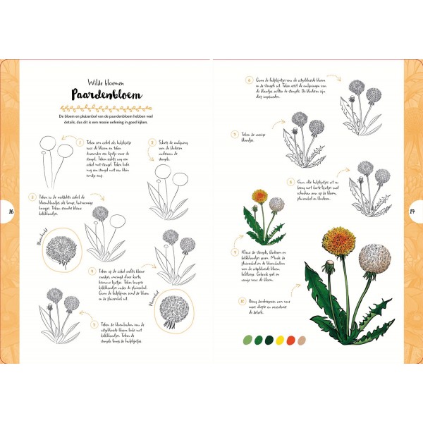 Tekenen In 10 Stappen - Wilde Bloemen En Planten - Justine Lecouffe - Afbeelding 4