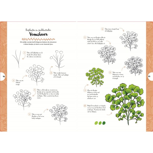 Tekenen In 10 Stappen - Wilde Bloemen En Planten - Justine Lecouffe - Afbeelding 1