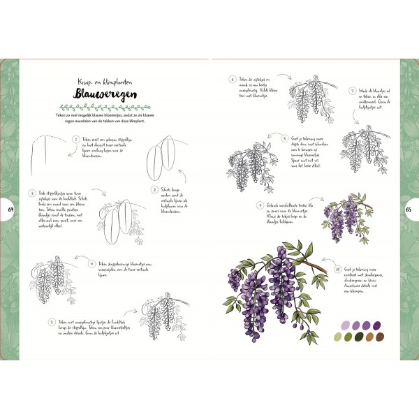 Tekenen In 10 Stappen - Wilde Bloemen En Planten - Justine Lecouffe - Afbeelding 2