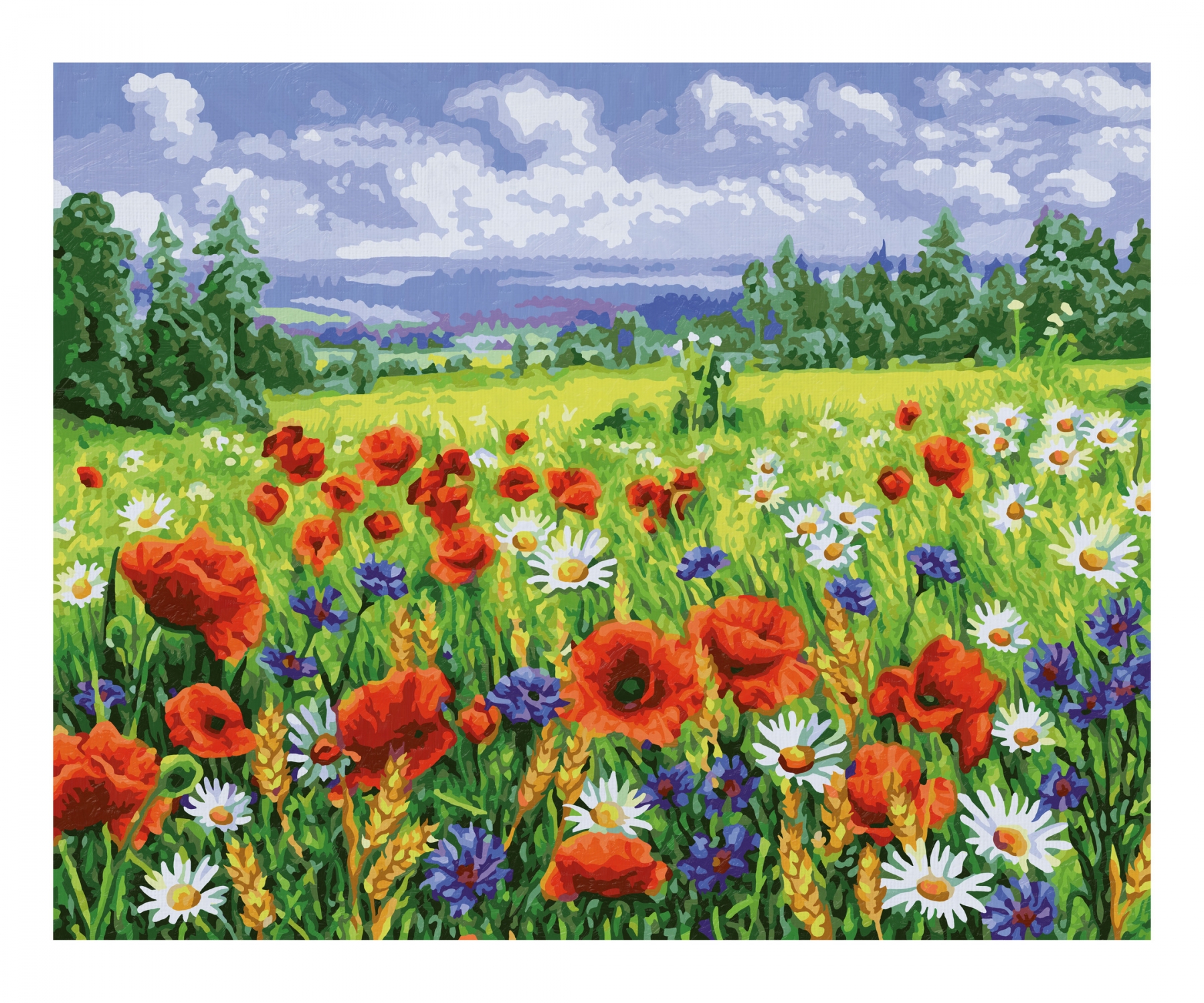 Schilderen Op Nummer 40x50cm Bloemenveld - Afbeelding 2