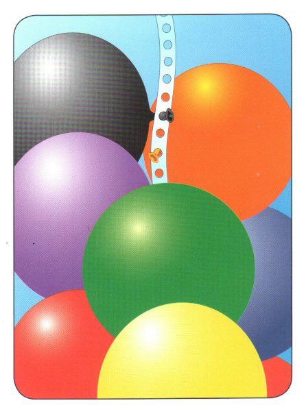 Balloon Vine 5 meter - Afbeelding 2