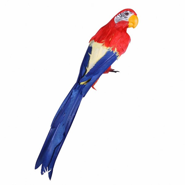 Papegaai 45cm